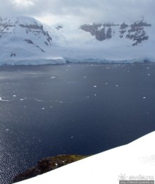 Cuverville island — здесь гнездятся пингвины