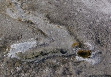 Быстрое знакомство с Холмом гейзеров (Geyser hill)