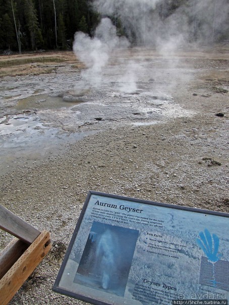 Альбом отзыва "Быстрое знакомство с Холмом гейзеров (Geyser hill)"