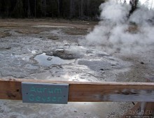 Альбом отзыва "Быстрое знакомство с Холмом гейзеров (Geyser hill)"