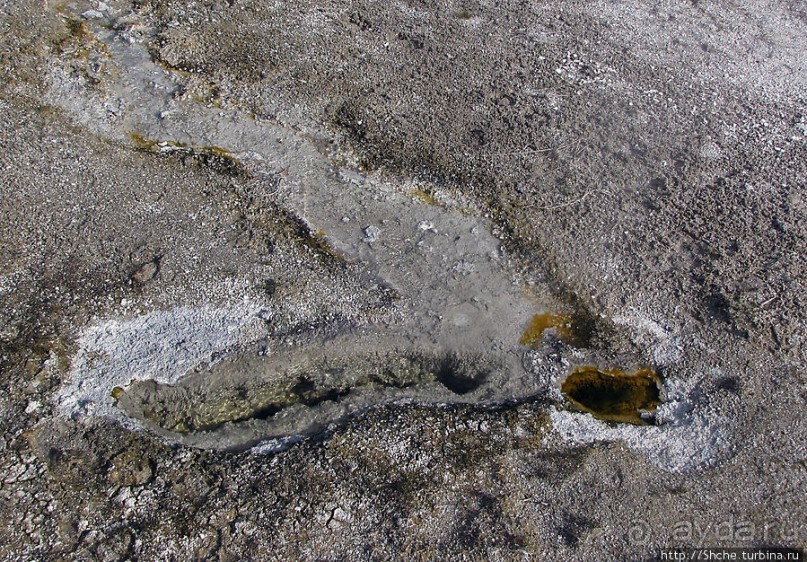 Быстрое знакомство с Холмом гейзеров (Geyser hill)