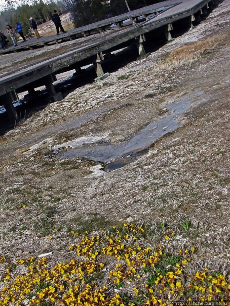 Быстрое знакомство с Холмом гейзеров (Geyser hill)