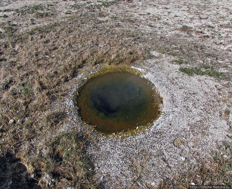 Быстрое знакомство с Холмом гейзеров (Geyser hill)
