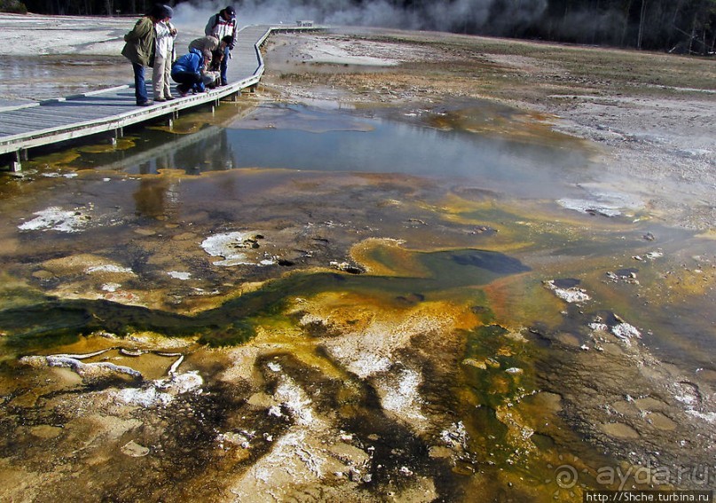 Быстрое знакомство с Холмом гейзеров (Geyser hill)