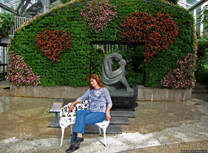 Около 200 сортов трав в саду на горе Рокко