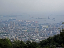 Около 200 сортов трав в саду на горе Рокко