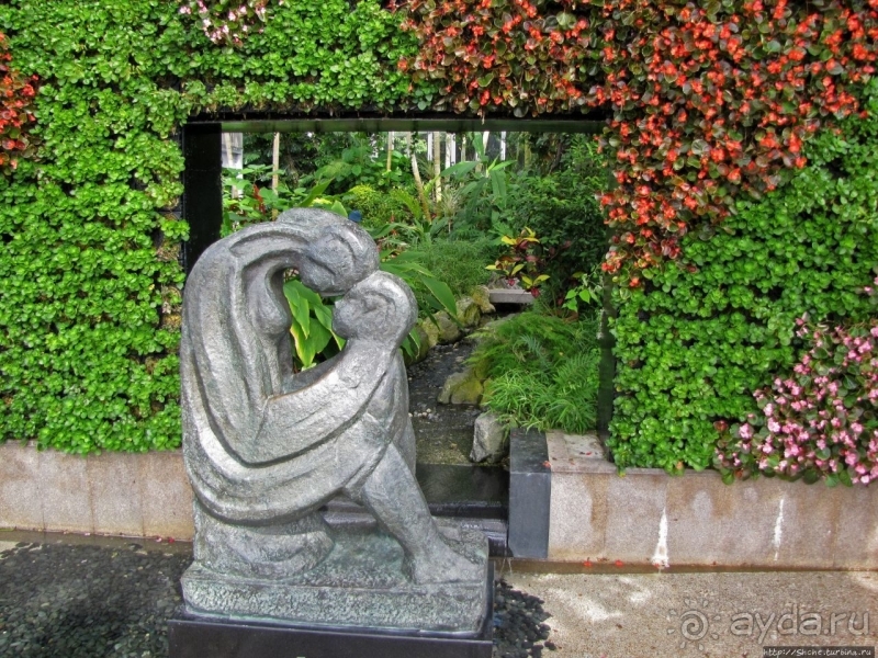 Около 200 сортов трав в саду на горе Рокко