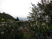 Около 200 сортов трав в саду на горе Рокко