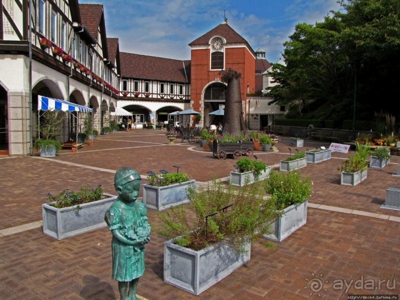 Около 200 сортов трав в саду на горе Рокко