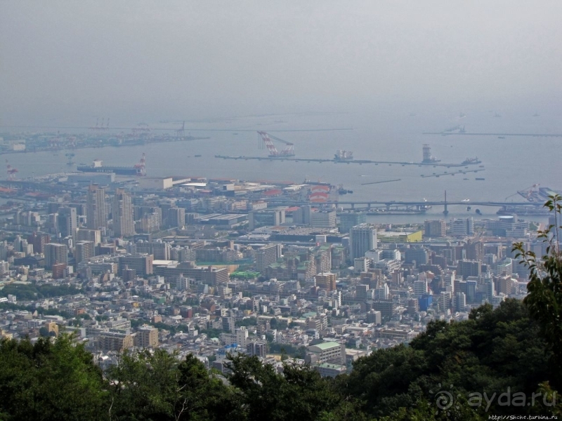 Около 200 сортов трав в саду на горе Рокко