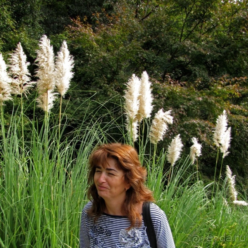 Около 200 сортов трав в саду на горе Рокко