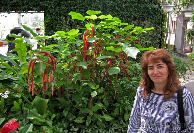 Около 200 сортов трав в саду на горе Рокко