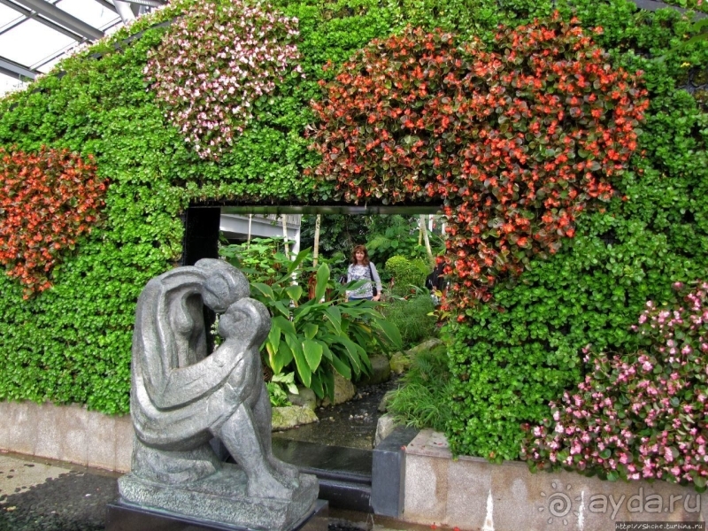 Около 200 сортов трав в саду на горе Рокко