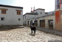 Ло Мантанг — маленькая столица маленького королевства