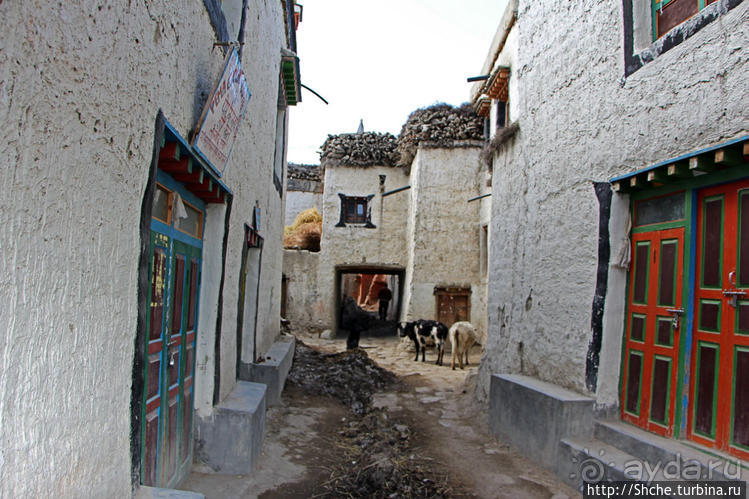 Ло Мантанг — маленькая столица маленького королевства