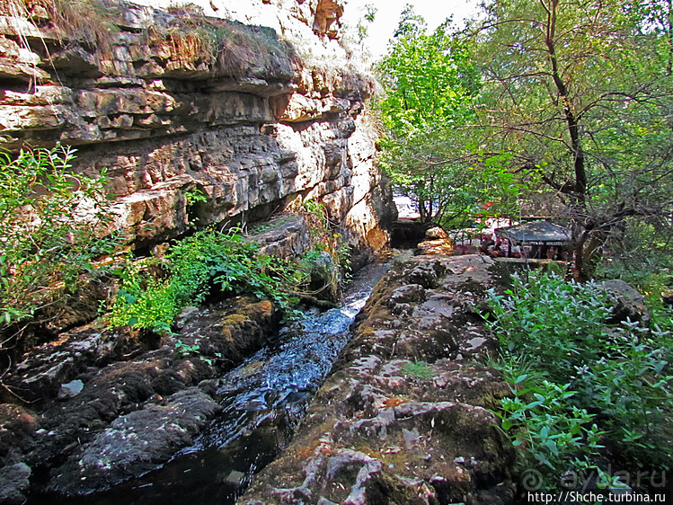 Ресторан на карстовом источнике Житолюб