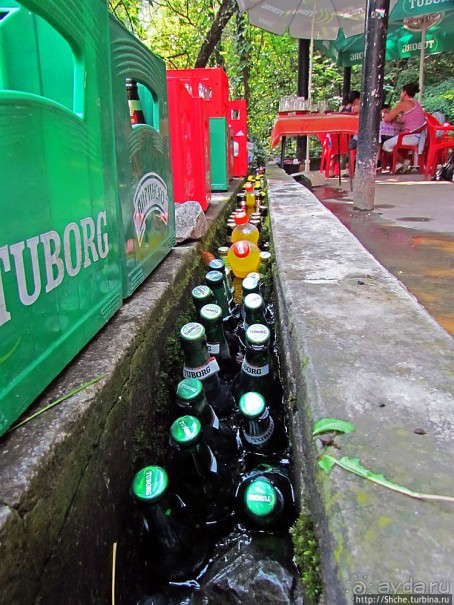 Ресторан на карстовом источнике Житолюб