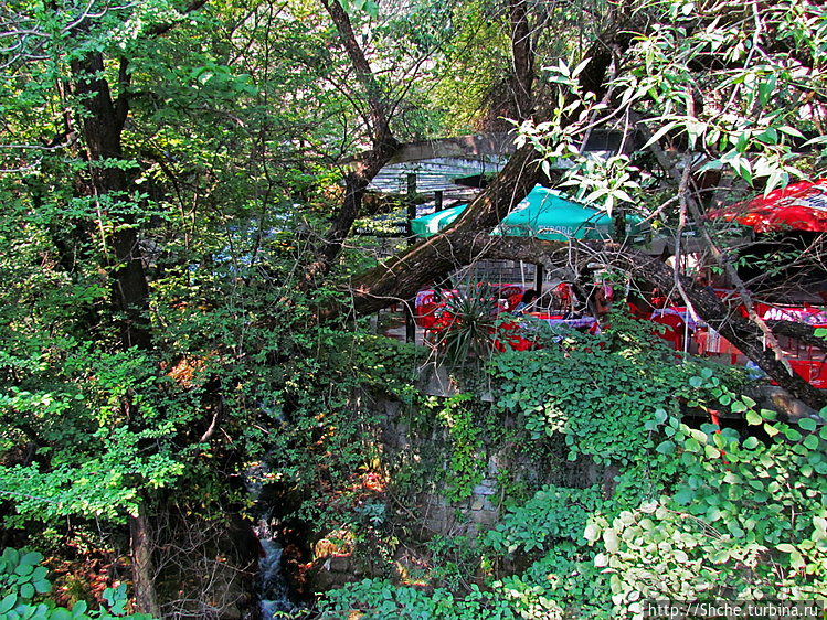 Ресторан на карстовом источнике Житолюб