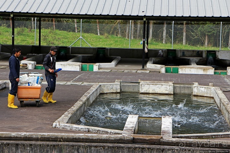 Папальякта — горный поселок близ знаменитых терм