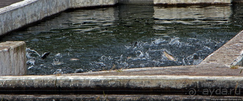 Папальякта — горный поселок близ знаменитых терм