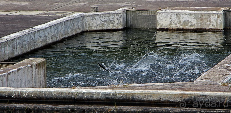 Папальякта — горный поселок близ знаменитых терм