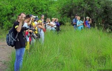 Белые, потому что широкие! "Обама" и еще 14 белых носорогов