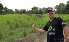 Альбом отзыва "Белые, потому что широкие! "Обама" и еще 14 белых носорогов"