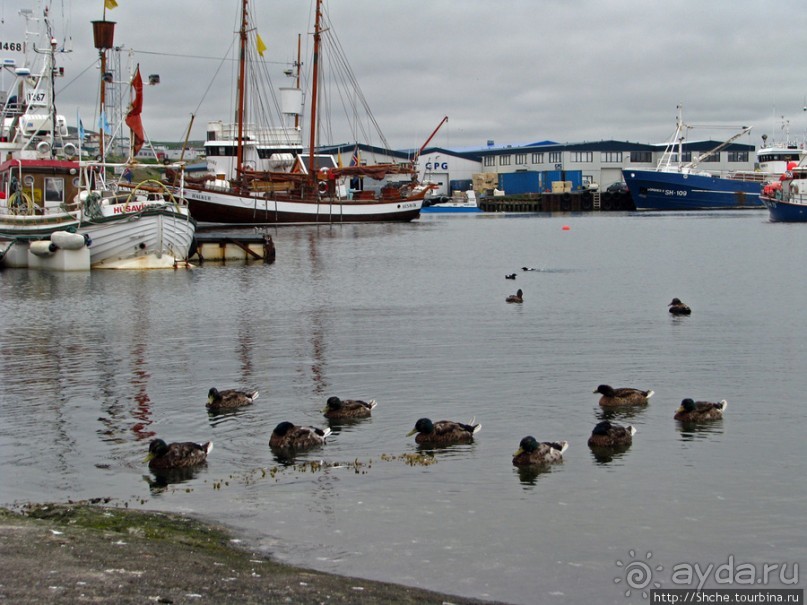 Город-порт Хусавик. Хотите смотреть китов? Вам сюда