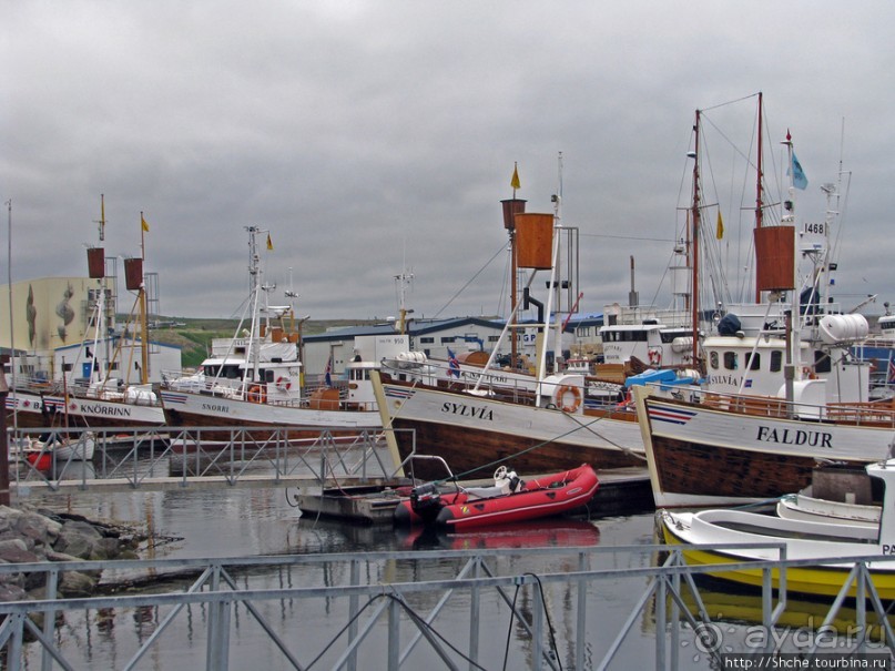 Город-порт Хусавик. Хотите смотреть китов? Вам сюда