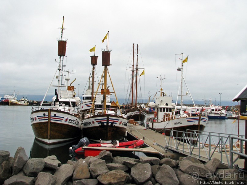 Город-порт Хусавик. Хотите смотреть китов? Вам сюда