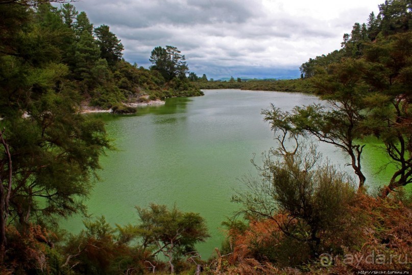 Озеро Нгакоро — "изумруд" геотермальной долины Ваи О Тапу