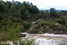 Озеро Нгакоро — "изумруд" геотермальной долины Ваи О Тапу