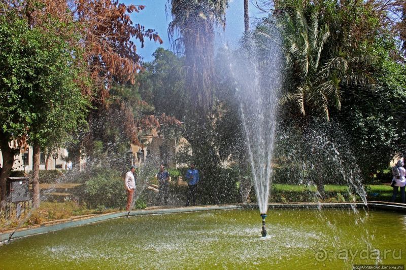 Музей Сузы — что осталось от великого наследия