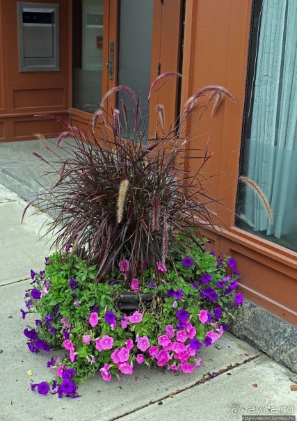 В гостях у Радуги. Первая (для всех нас) баптистская церковь