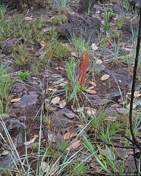 В брюхе у "жабы" ... (под струями водопада Сапо)