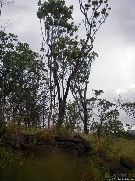 В брюхе у "жабы" ... (под струями водопада Сапо)