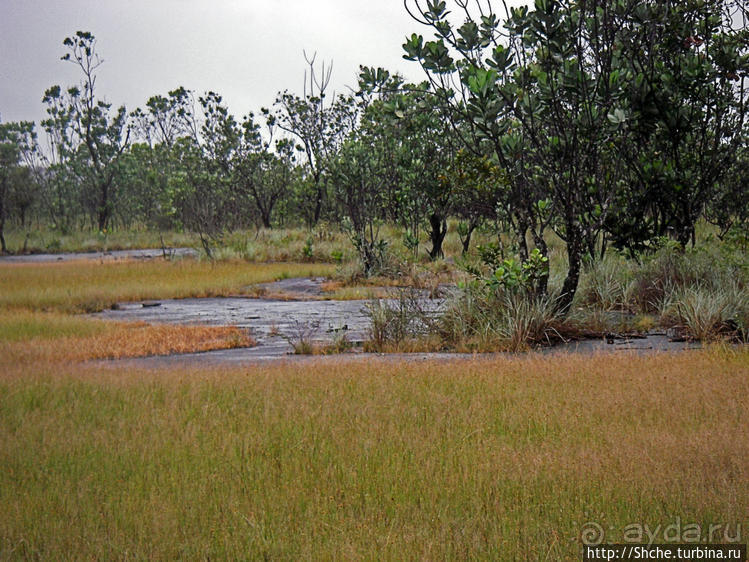 В брюхе у "жабы" ... (под струями водопада Сапо)