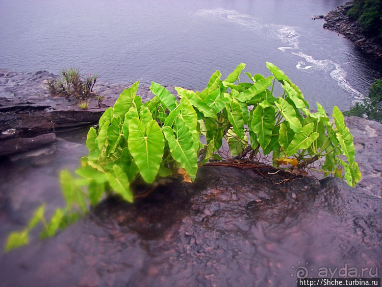 В брюхе у "жабы" ... (под струями водопада Сапо)