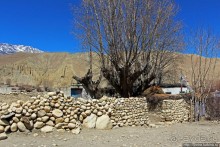 Негостеприимный Гами — региональный центр Верхнего Мустанга