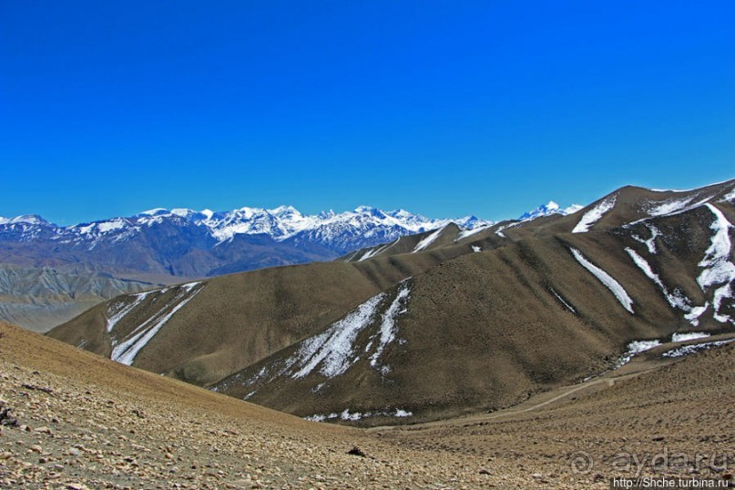 Негостеприимный Гами — региональный центр Верхнего Мустанга