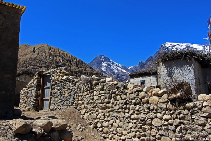 Негостеприимный Гами — региональный центр Верхнего Мустанга