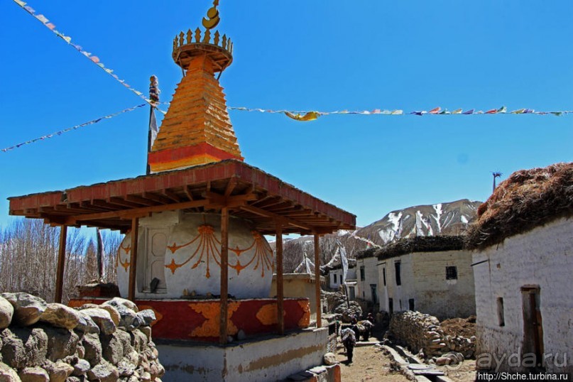 Негостеприимный Гами — региональный центр Верхнего Мустанга