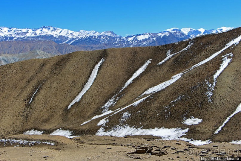 Негостеприимный Гами — региональный центр Верхнего Мустанга