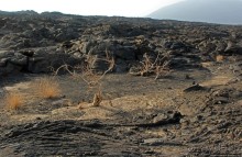 Эрта Але — врата Ада (черный вход)