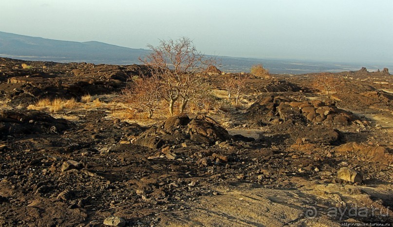 Эрта Але — врата Ада (черный вход)
