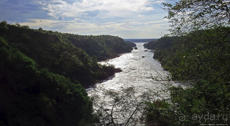 Как Нил в шестиметровую щель протиснулся Как Нил в шестиметровую щель протиснулся