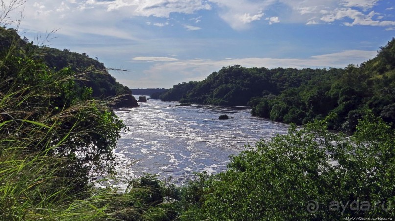 Как Нил в шестиметровую щель протиснулся Как Нил в шестиметровую щель протиснулся