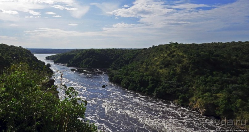 Как Нил в шестиметровую щель протиснулся Как Нил в шестиметровую щель протиснулся