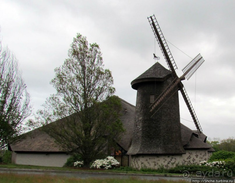 Нас встречает мыс Кейп-Код (Тресковый мыс)