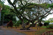 Камни Латте — символ идентичности культуры Чаморро